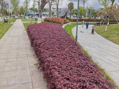 -成飞公园
