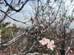 -北京十三陵国家森林公园蟒山景区