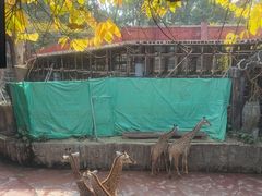 -长鹿旅游休博园