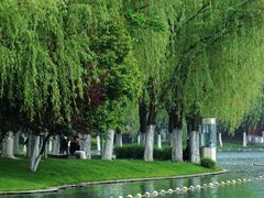 -天鹅湖体育公园