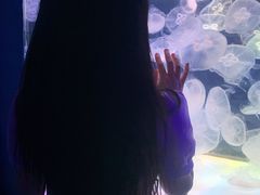 -左海海底世界