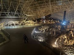 -世界恐龙谷景区