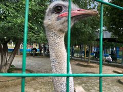 -武汉紫薇都市田园