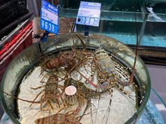 -强记海鲜·大排档(蛇口新街店)