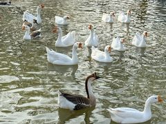 -森林公园(尖草坪区)