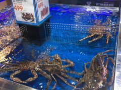 -盒马X会员店(王府井奥莱UP TOWN店)