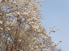 -睦南公园