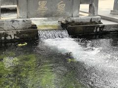 -百脉泉景区