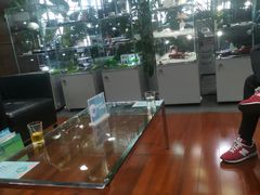 -北京之星奔驰4S店(亦庄店)