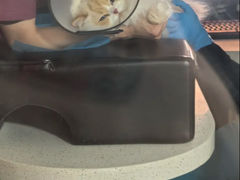 -艾贝尔宠物医院·24H转诊中心·肿瘤猫专科(江宁双龙店)