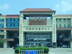 -药王庙(安国市)