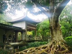 -柳侯公园