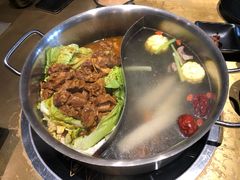 -手选潮汕鲜活牛肉火锅(二七广场店)