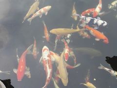 -宝泉胜境旅游度假区