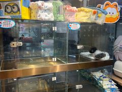 -FAELING PETS美天灵宠物(富力广场店)