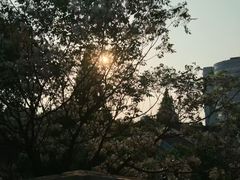 -萬國春·中菜馆(颐和公馆店)
