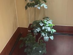 -刘超盲人按摩所(寇庄西路店)