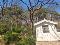 -北极阁公园
