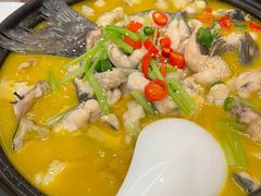 -鲁宴·鲁煨黄河生态大鲤鱼(月坛店)