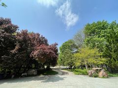 -洛阳市隋唐城遗址植物园
