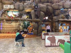 -卡通尼·Safari非洲探索乐园·生日会(金桥国际商业广场店)