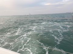 -鑫艋游艇海钓俱乐部