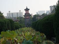 -四川大学(华西校区)