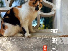 -西园戒幢律寺