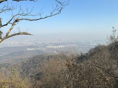 -紫金山山顶公园