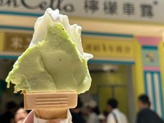 -柠檬车露(卖草地店)