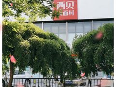 -西贝莜面村(双井店)