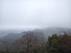 -云碧峰国家森林公园