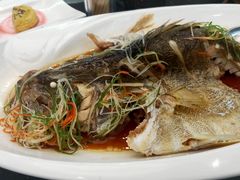 清蒸桂鱼-潇湘楼(环保园店)
