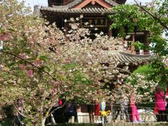 -西安青龙寺遗址景区