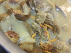 -探窝·竹笙椰子鸡(杨箕店)