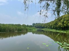 -同里国家湿地公园