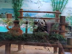 -西霞口神雕山野生动物世界