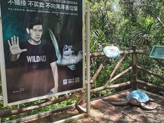 -广东惠东海龟国家级自然保护区