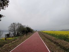 -新安江山水画廊风景区