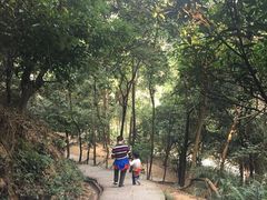 -火炉山森林公园