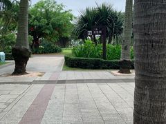 -万绿园