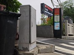 -李子坝梁山鸡(李子坝大鸡哥店)