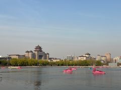 -莲花池公园