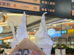 -野人先生Gelato(上海长宁龙之梦店)