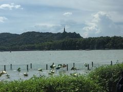 -湖畔居茶楼(湖滨店)