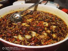 -羊门客在·烤盐池滩羊·川菜