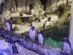 -成都浩海立方海洋公园