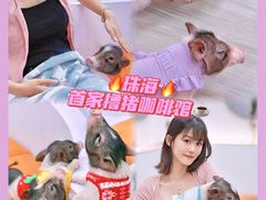 -猪盟咖啡店(玖洲道店)