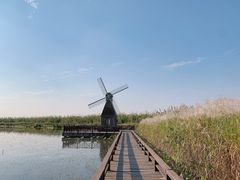 -宁波杭州湾国家湿地公园
