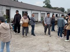 -苏州市吴中区光福窑上花果蜜饯厂